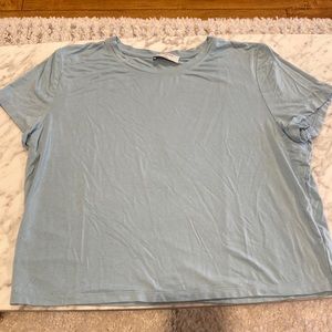 Bavarian Aritzia T Shirt